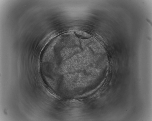 X0000097460290200803141858