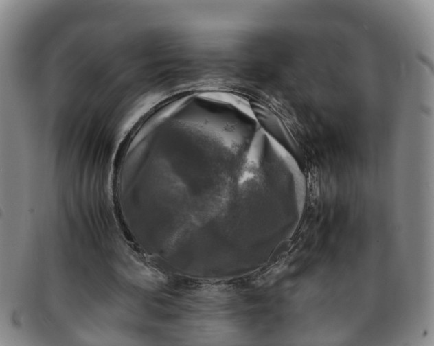 X0000097460292200803141858