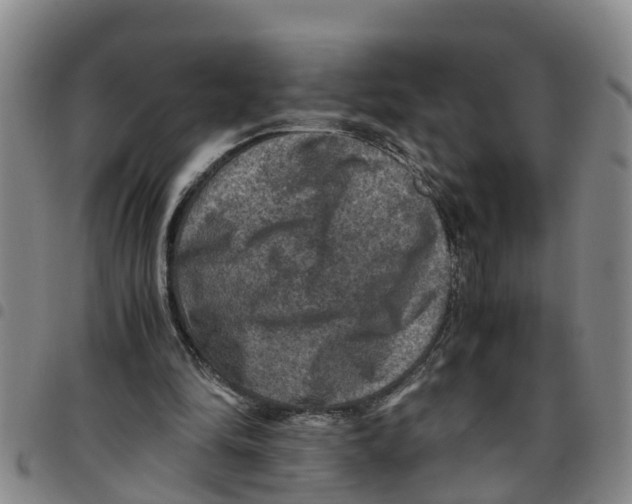 X0000097460294200803141857