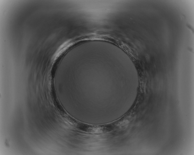 X0000097460295200803141857