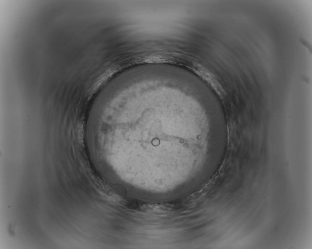 X0000097460297200803141857