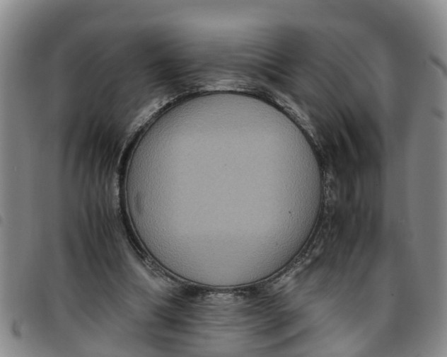 X0000097460298200803141857