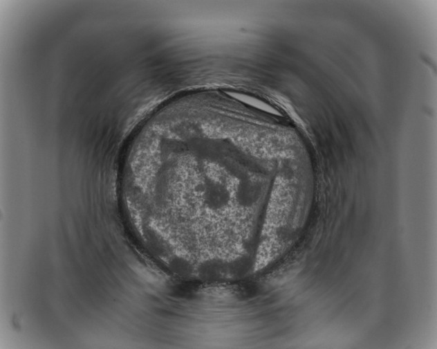 X0000097460299200803141857