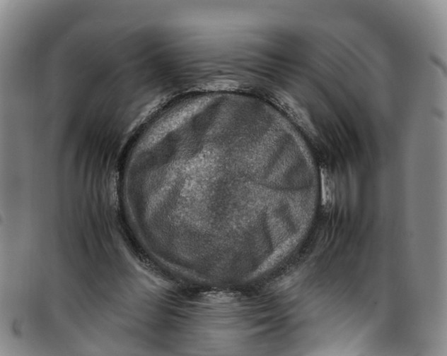 X0000097460300200803141857