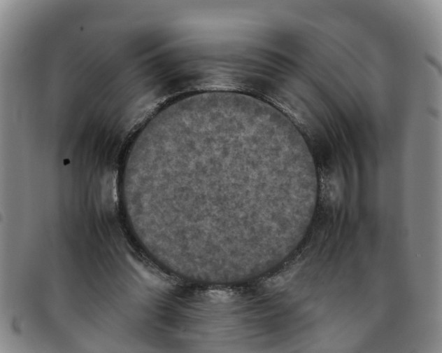 X0000097460302200803141857