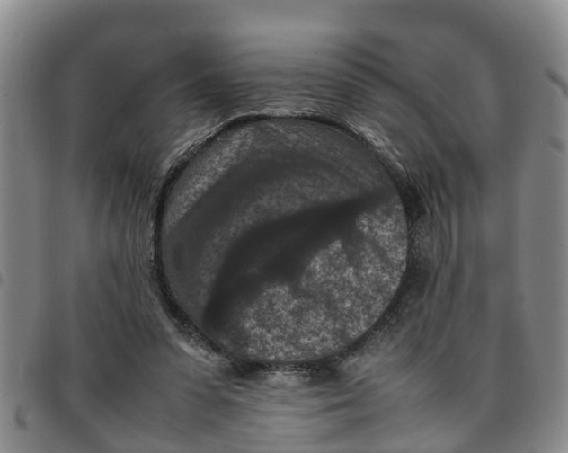 X0000097460303200803141857