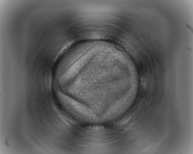 X0000097460304200803141857