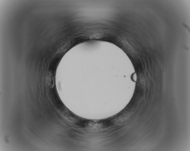 X0000097460311200803141857