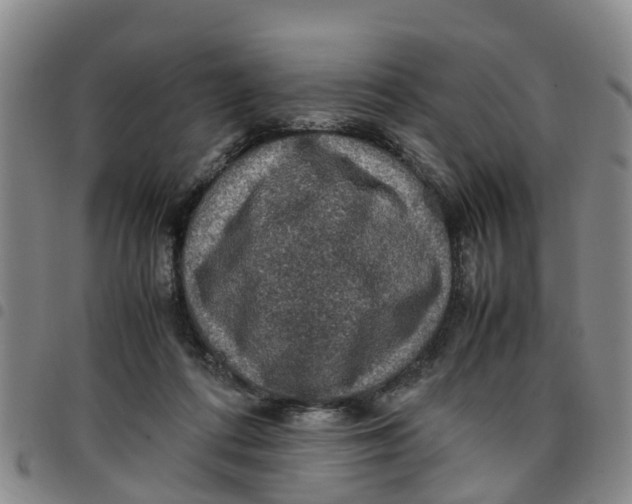 X0000097460312200803141857