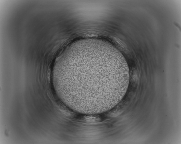 X0000097460315200803141857