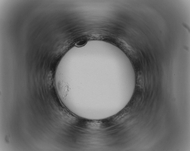 X0000097460318200803141857