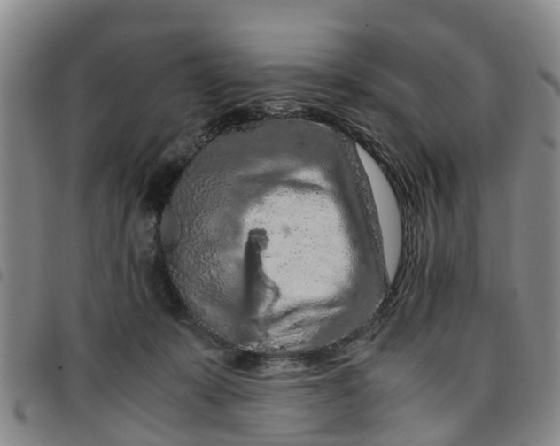 X0000097460319200803141857