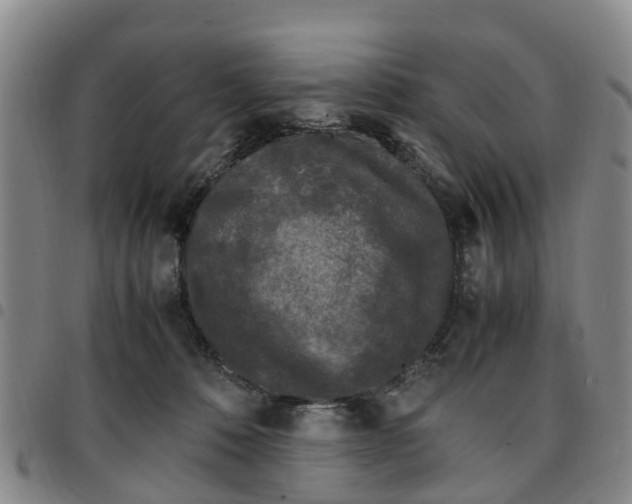 X0000097460320200803141857