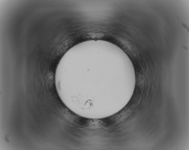 X0000097460321200803141857