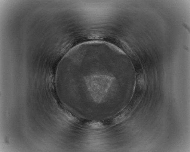 X0000097460322200803141857