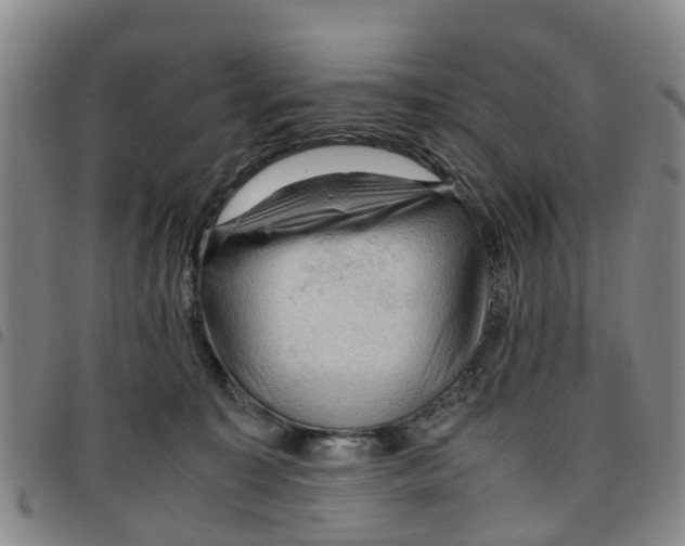 X0000097460323200803141857