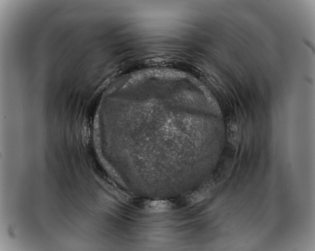 X0000097460324200803141857