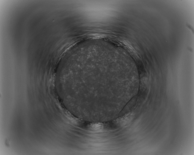 X0000097460325200803141857