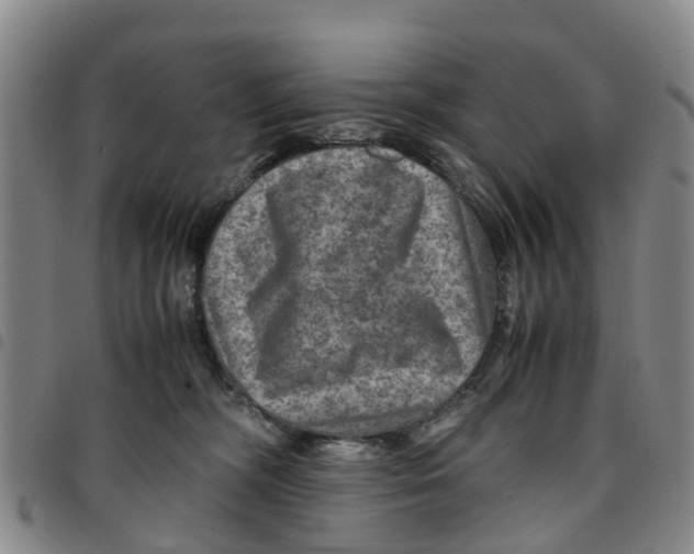 X0000097460326200803141857