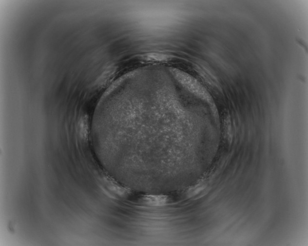 X0000097460328200803141857