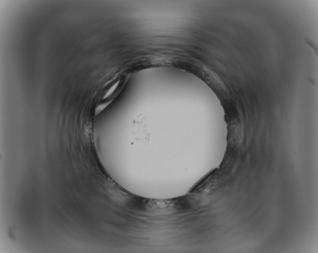 X0000097460329200803141857