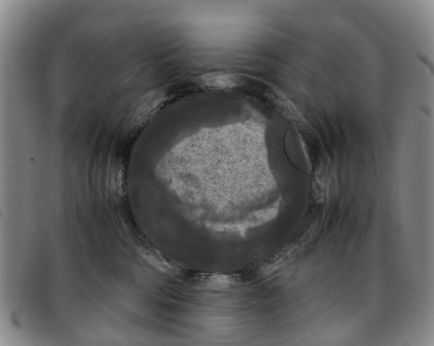 X0000097460330200803141857