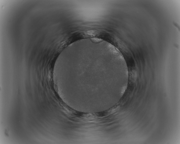 X0000097460331200803141857