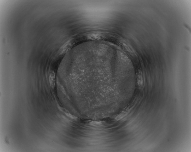 X0000097460332200803141857