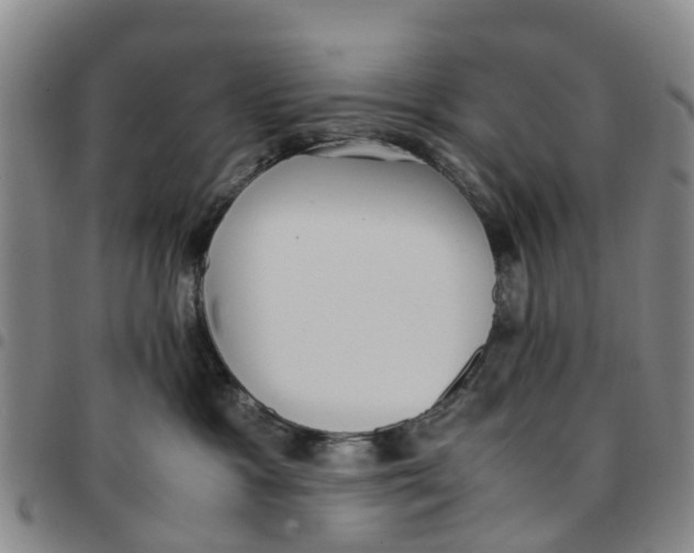 X0000097460333200803141857