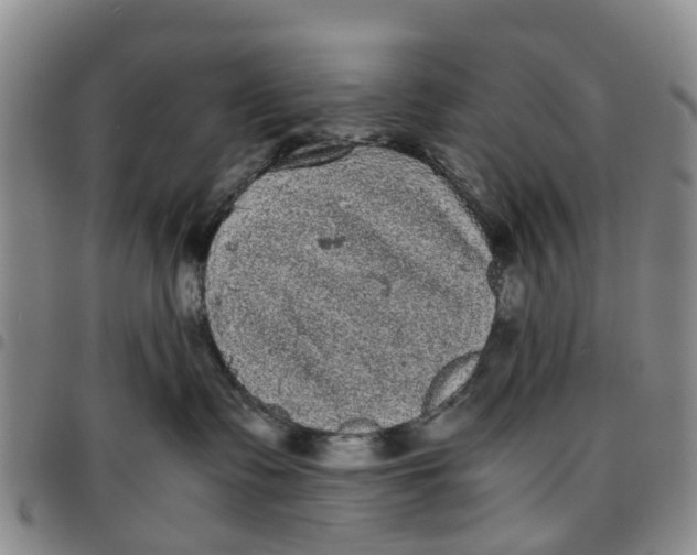 X0000097460335200803141857