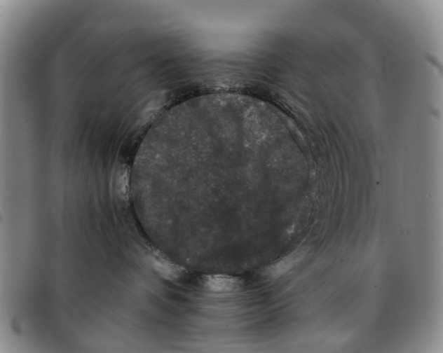 X0000097460336200803141857