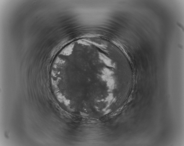 X0000097460337200803141856