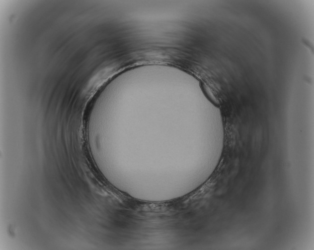 X0000097460338200803141856