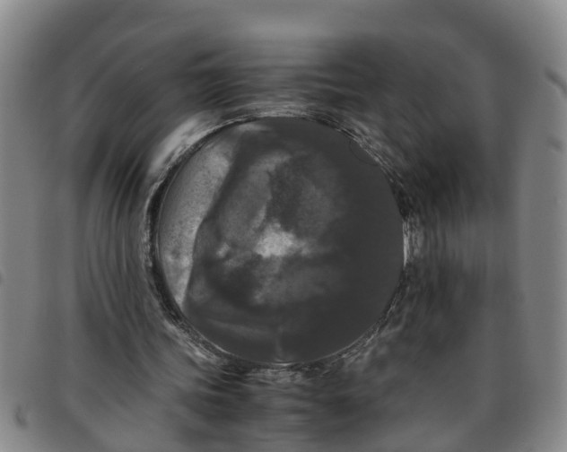 X0000097460339200803141856