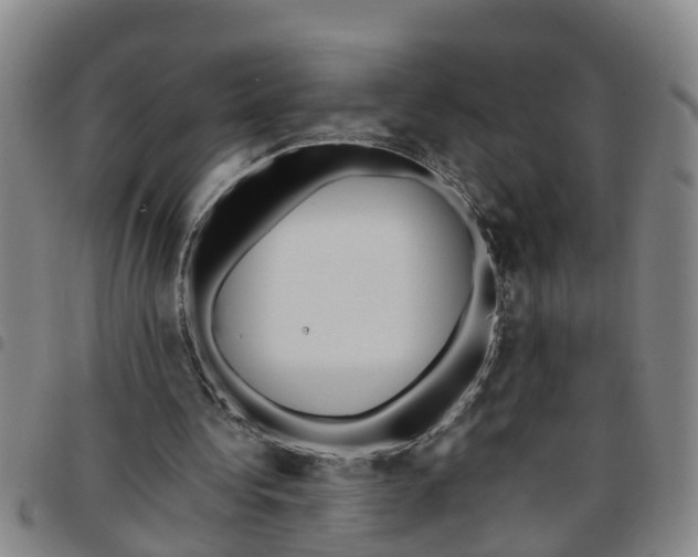 X0000097460340200803141856