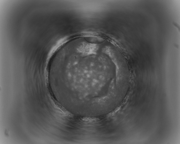 X0000097460343200803141856