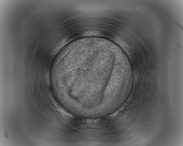 X0000097460345200803141856