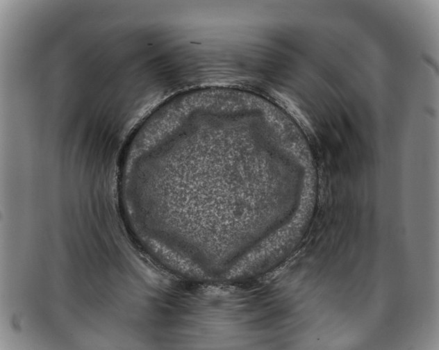 X0000097460346200803141856