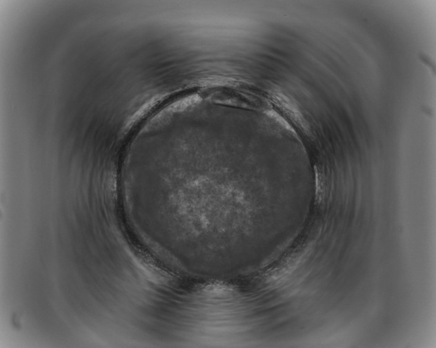 X0000097460348200803141856