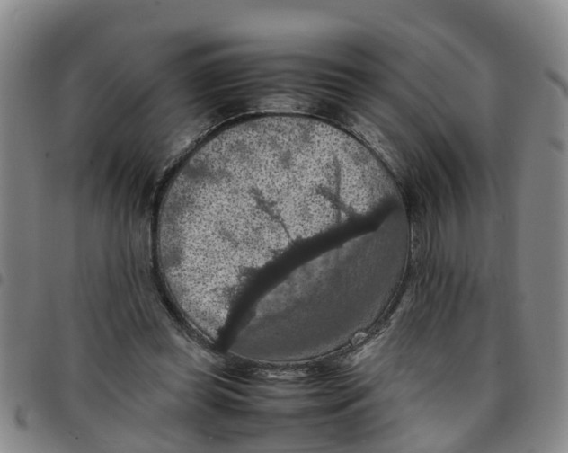 X0000097460349200803141856