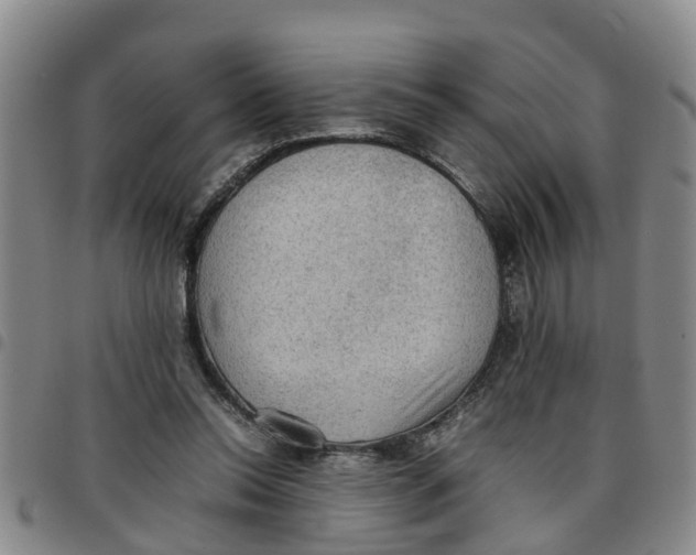 X0000097460350200803141856