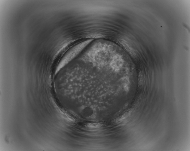 X0000097460351200803141856