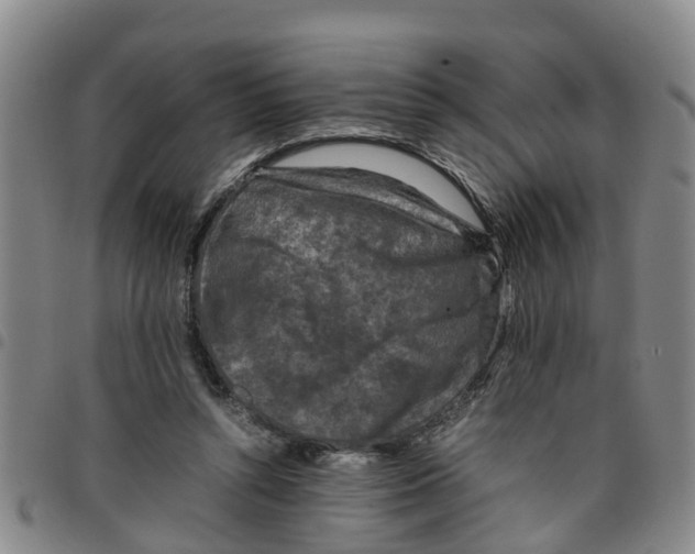 X0000097460352200803141856