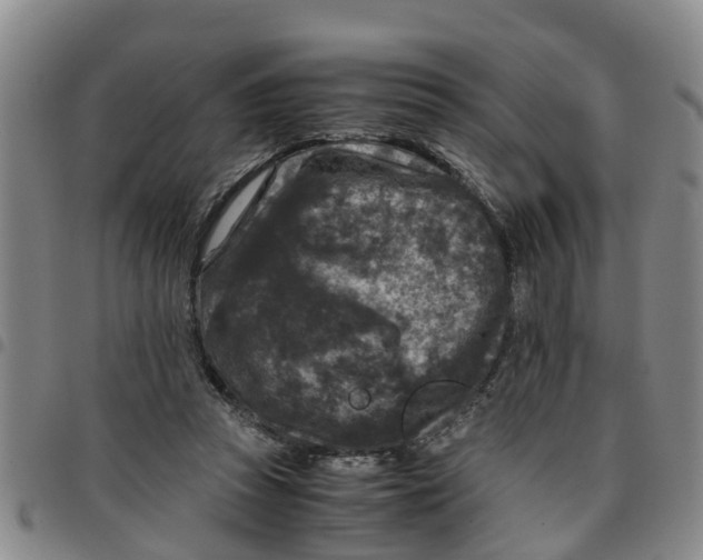 X0000097460353200803141856