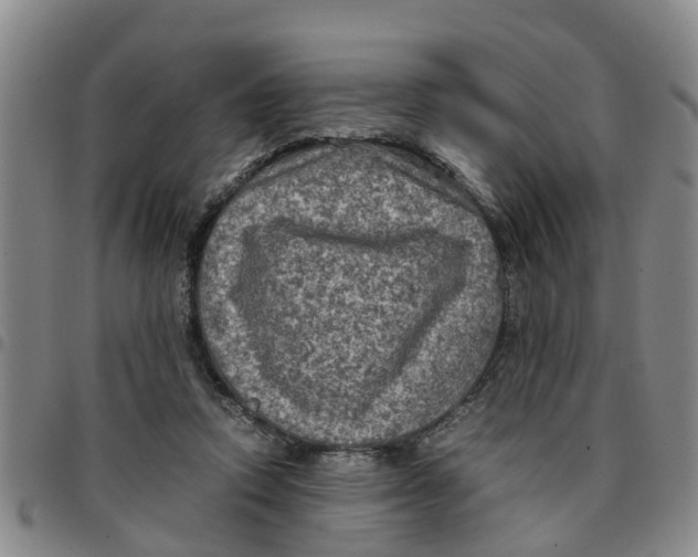 X0000097460354200803141857