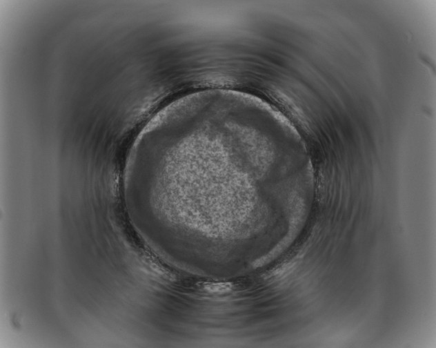 X0000097460355200803141857