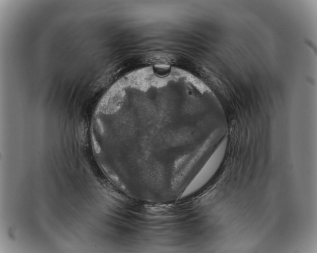 X0000097460359200803141857