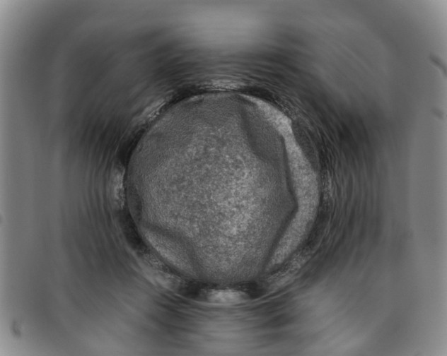 X0000097460360200803141857