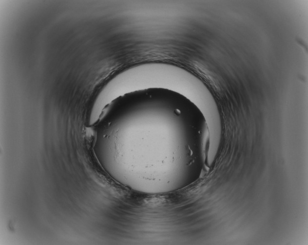 X0000097460362200803141857