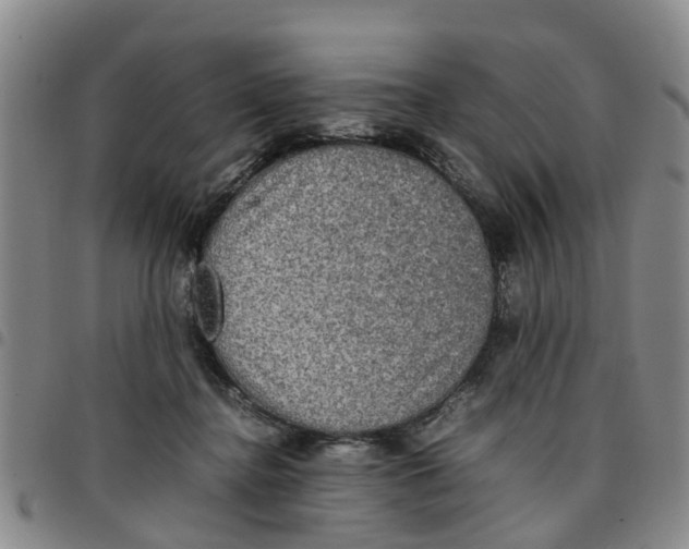 X0000097460364200803141857